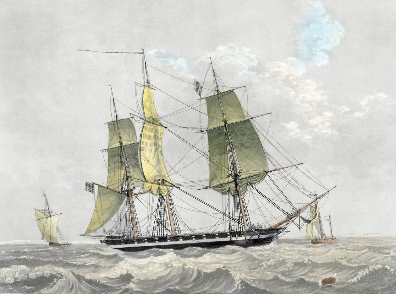 American Navy Corvette Under Sail by Dutch School