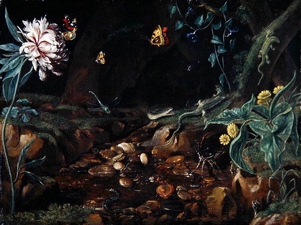 Stream in a Dell with Flowers and Reptiles by Dutch School