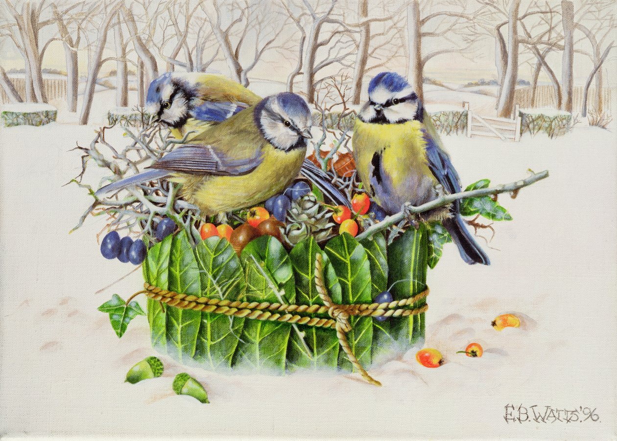 Blue Tits in Leaf Nest, 1996 by E.B. Watts