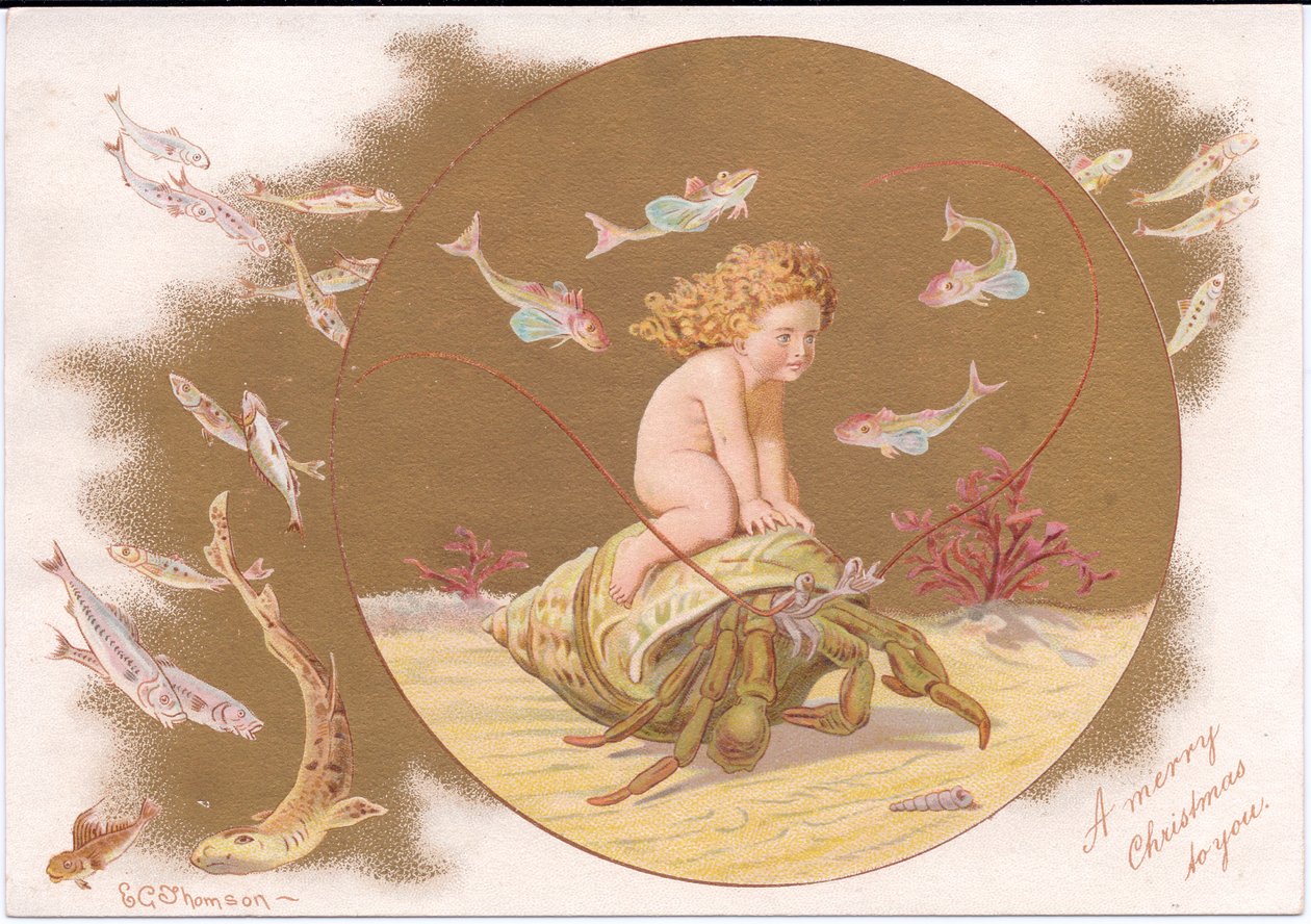 A Victorian Christmas card of a hermit crab in a shell being ridden by a water baby surrounded by a shoal of fish, by Gertrude Thompson by E. Gertrude Thompson
