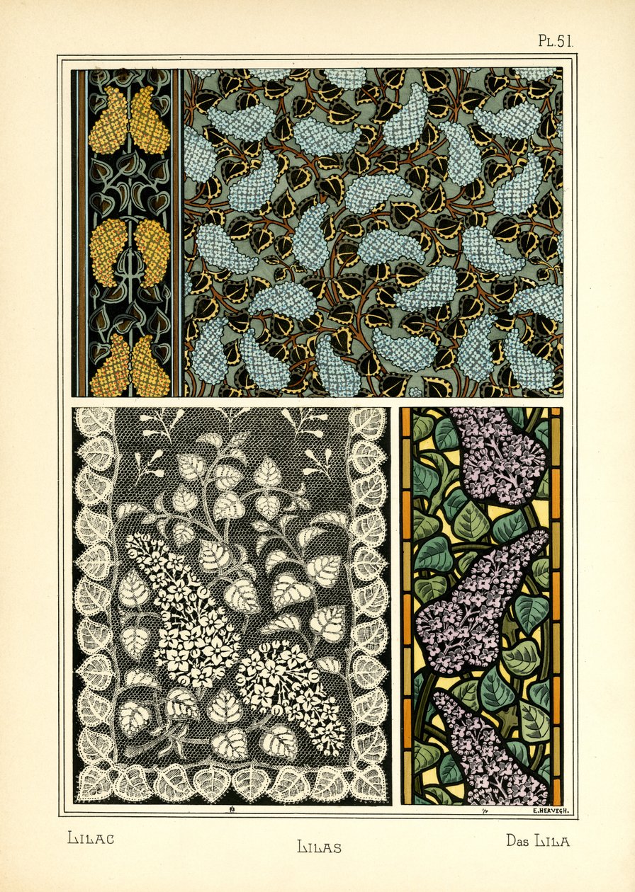 The Lilac by E. Hervegh