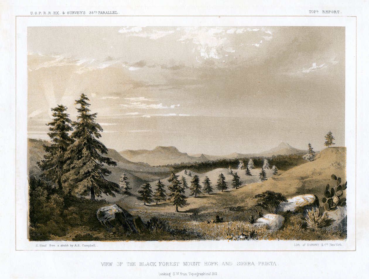 The Black Forest Mount Hope and Sierra Prieta, USA by E Stout