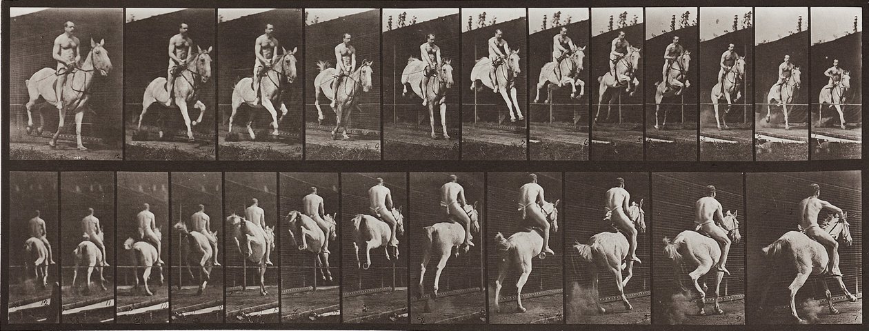 Animal Locomotion, Plate 646 by Eadweard Muybridge