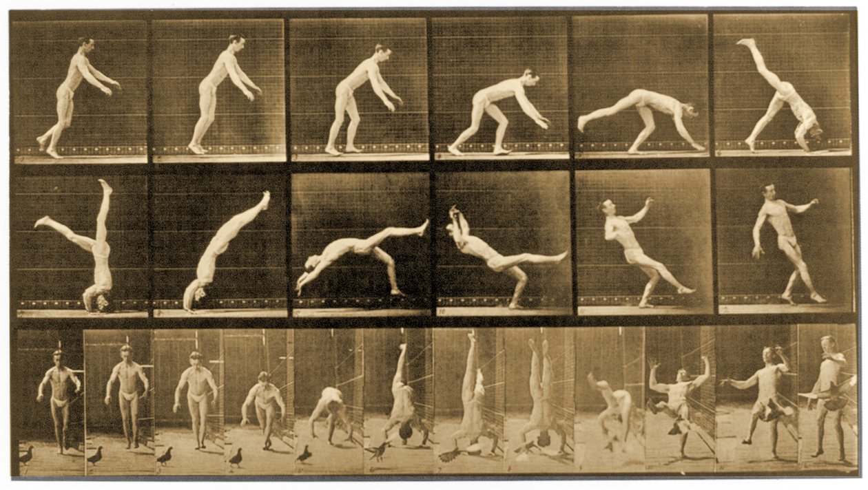 Plate from 