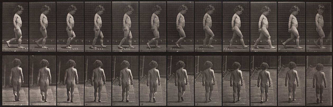 Animal Locomotion, Plate 467 by Eadweard Muybridge
