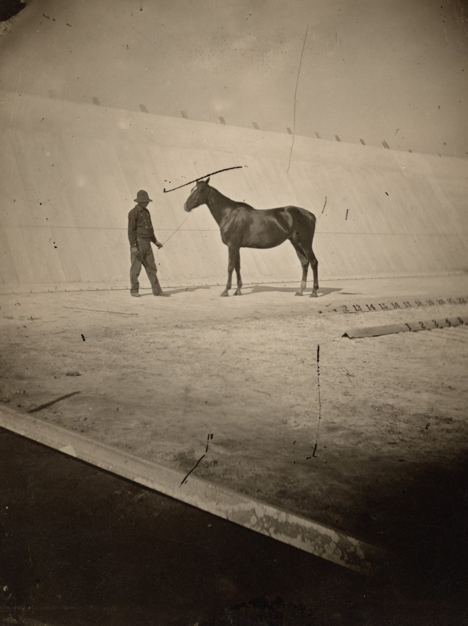 Detail of the Track at Leland Stanford