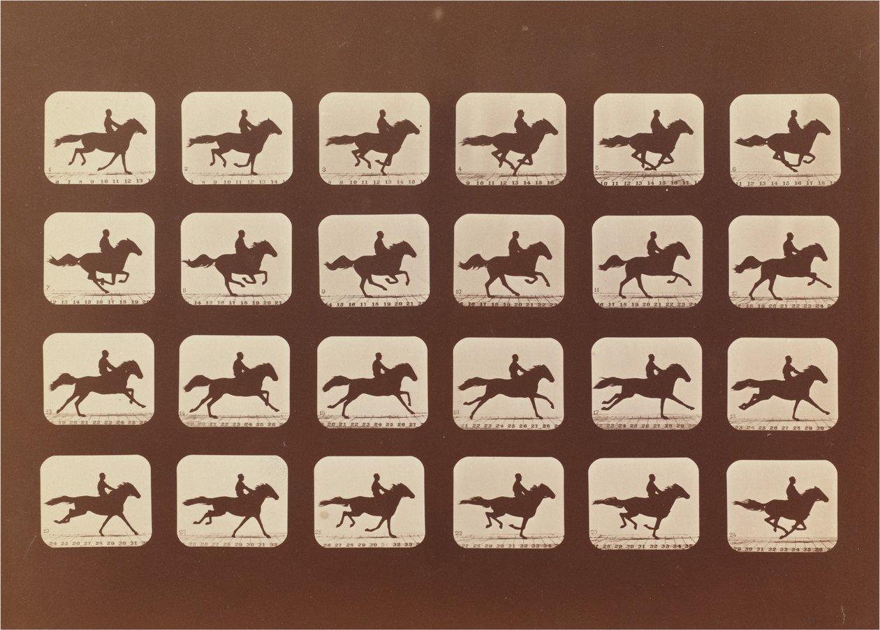 Horses Running by Eadweard Muybridge