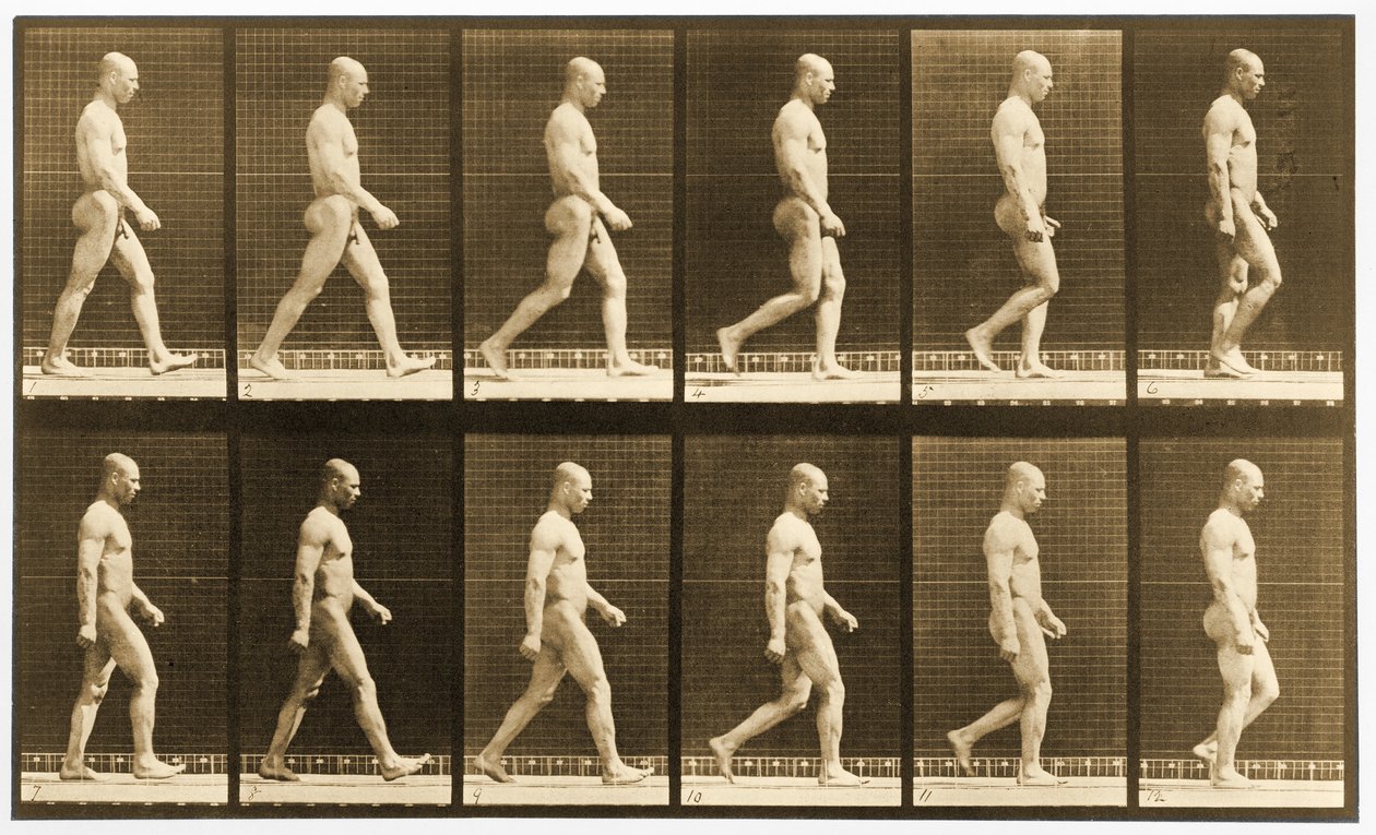 Image sequence of a nude man walking, 
