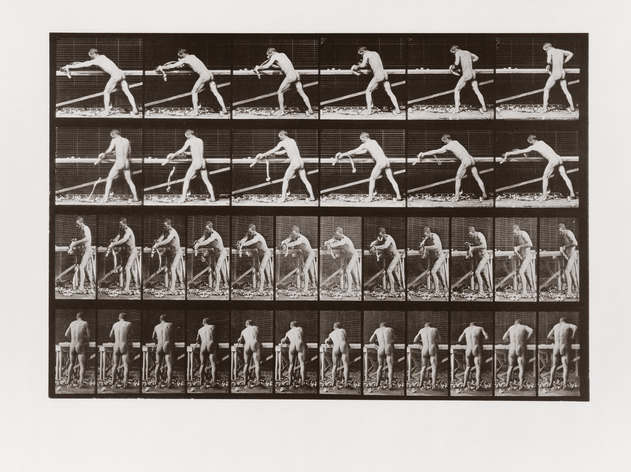 Man planing wood, Plate 379 from Animal Locomotion by Eadweard Muybridge