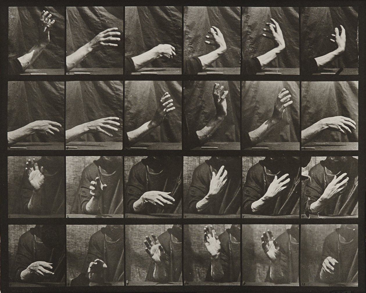 Movement of the Hand; Beating Time by Eadweard Muybridge