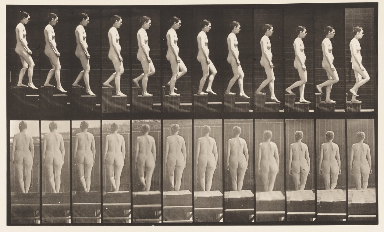 Plate 129. Descending Stairs, Hands Clasped by Eadweard Muybridge