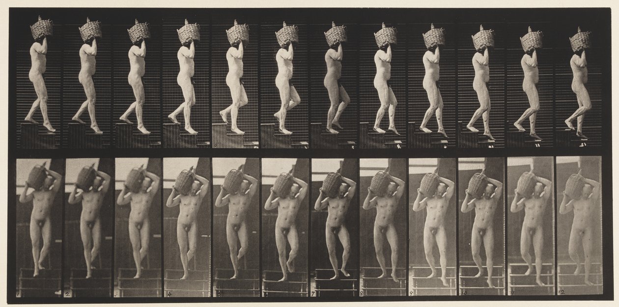Descending Stairs Full Demijohn on Shoulder, 1872-1885 by Eadweard Muybridge