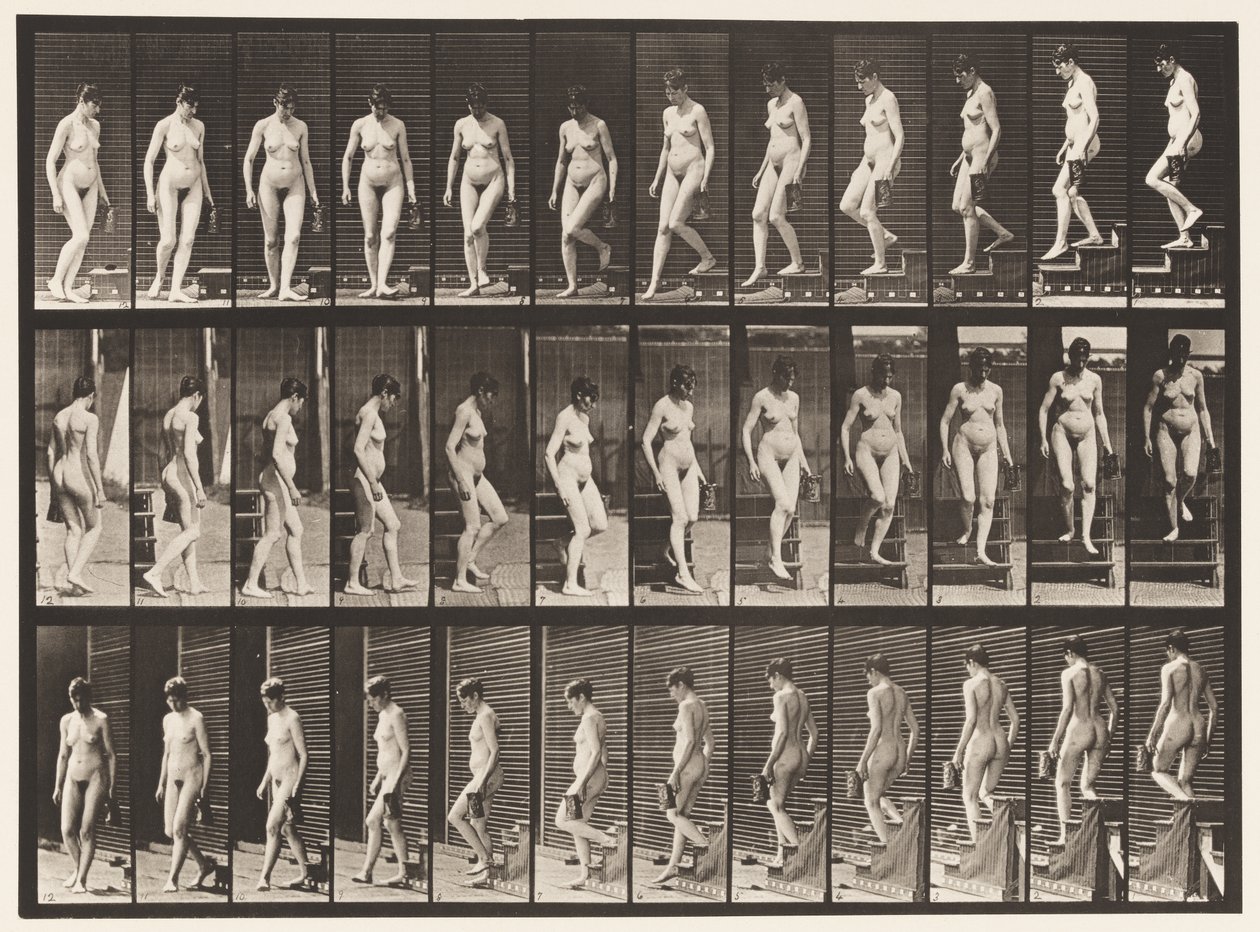 Descending Stairs Turning; Pitcher in Left Hand by Eadweard Muybridge