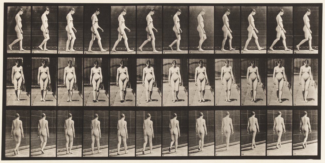 Plate 13. Walking by Eadweard Muybridge