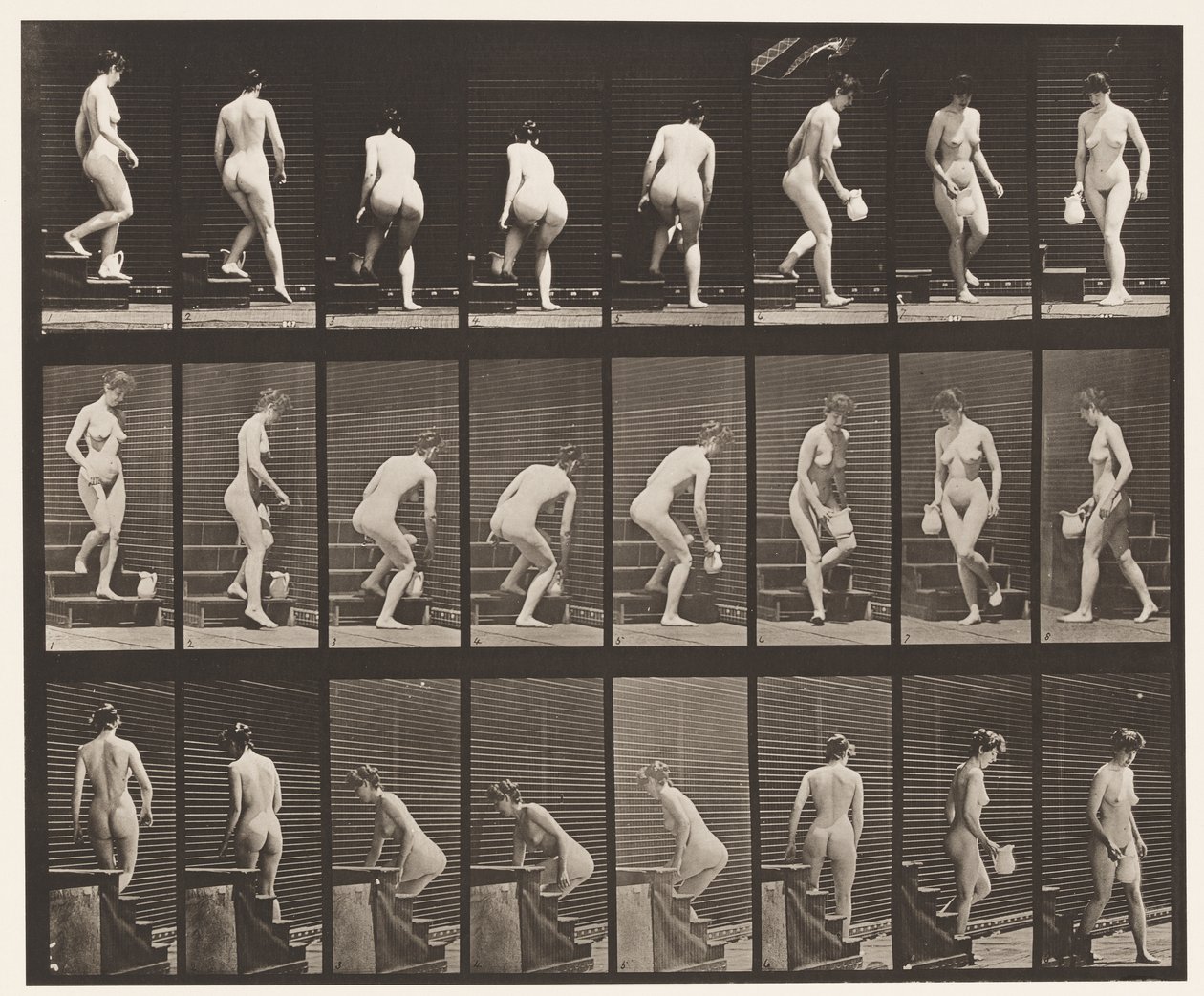 Descending Stairs; Stooping, Lifting Pitcher, Turning by Eadweard Muybridge