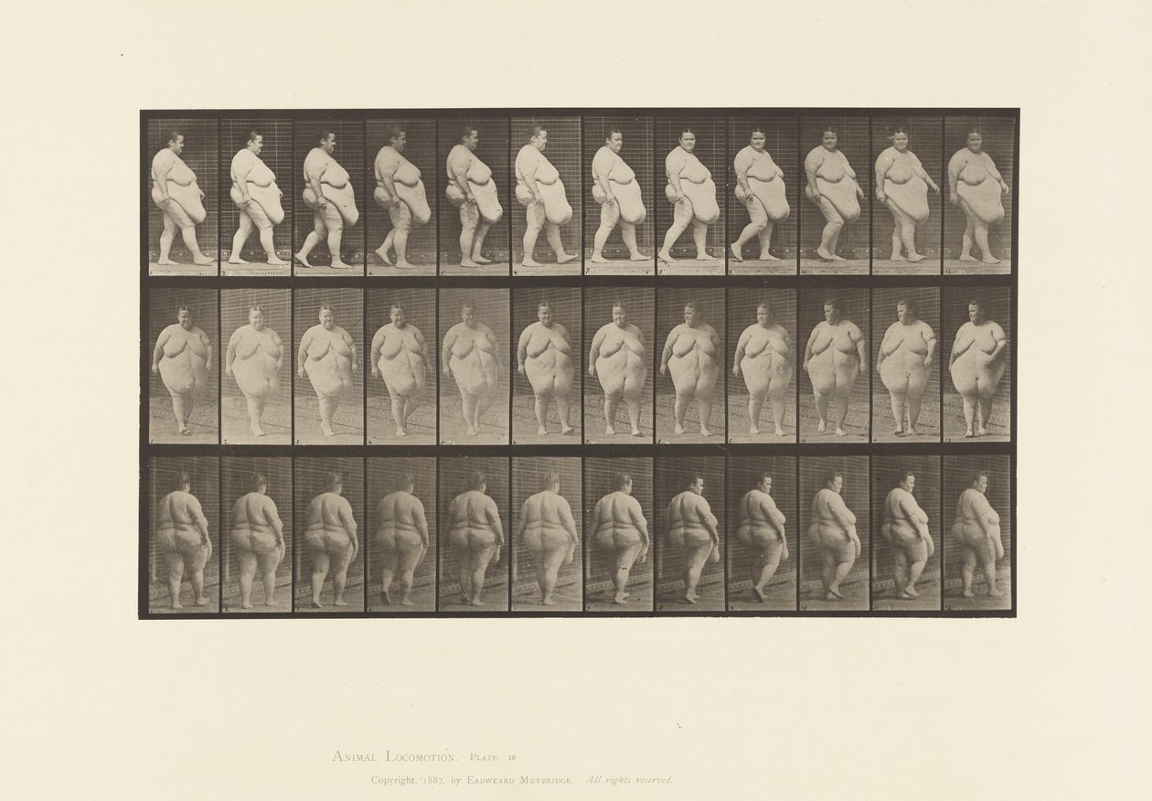 Walking, Commencing to Turn Around (Plate 19)
