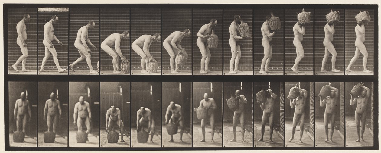 Plate 218. Stooping, and Lifting Full Demijohn to Shoulder by Eadweard Muybridge