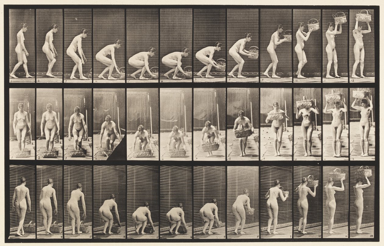 Plate 221. Stooping and Lifting 12 lb Basket to Head by Eadweard Muybridge