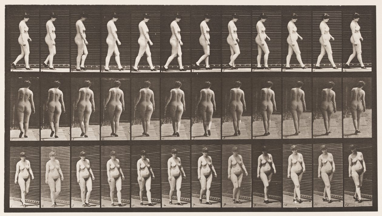 Plate 24. Walking with High-Heeled Shoes On by Eadweard Muybridge