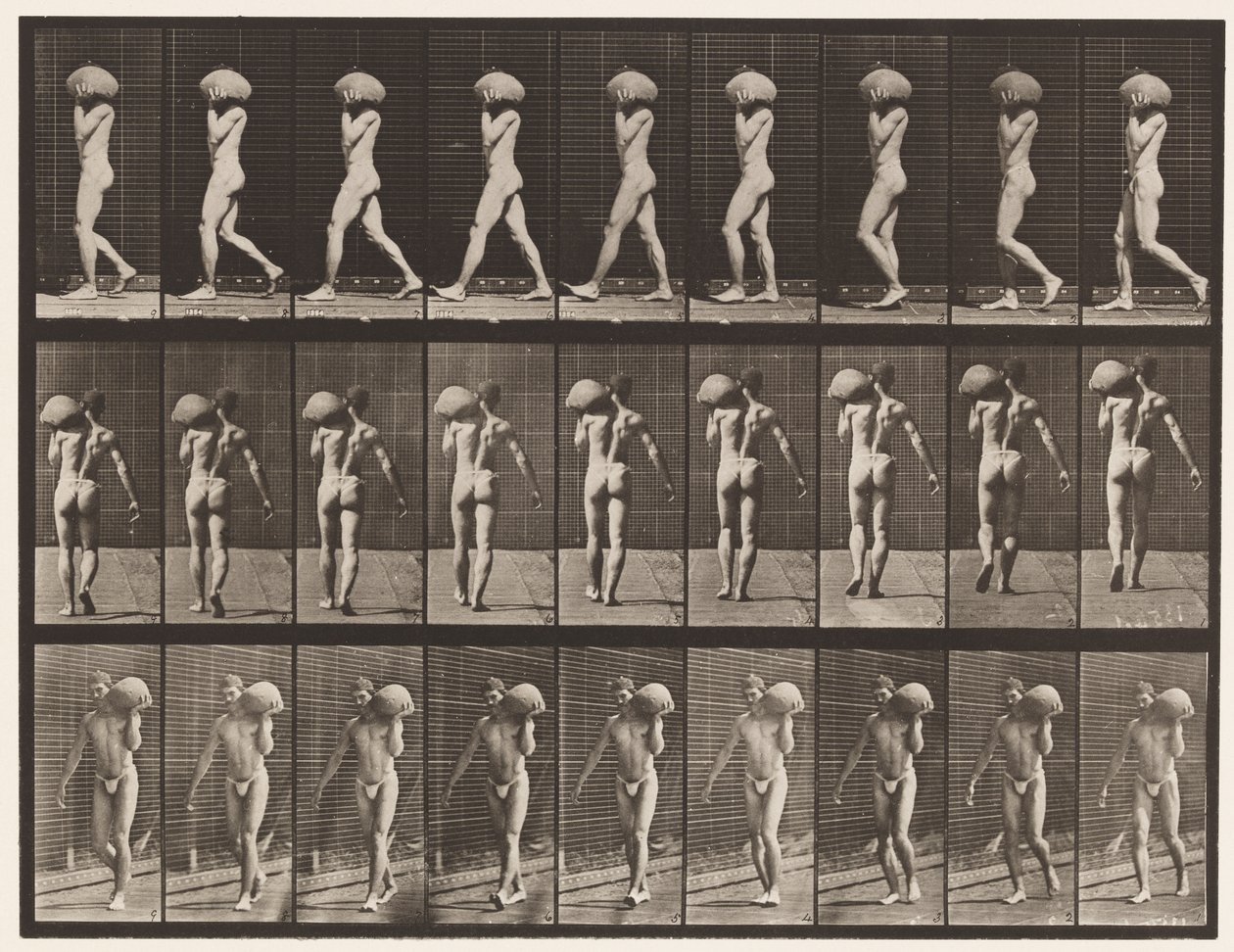 Plate 26. Walking, Carrying 75-lb Stone on Left Shoulder by Eadweard Muybridge