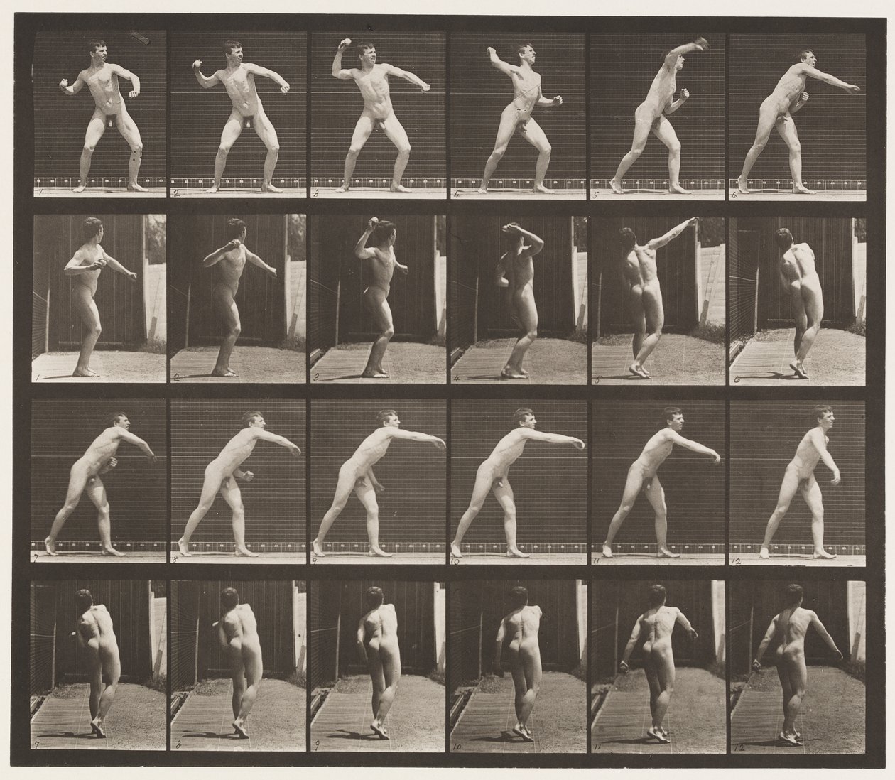 Plate 286. Base-ball; Throwing by Eadweard Muybridge