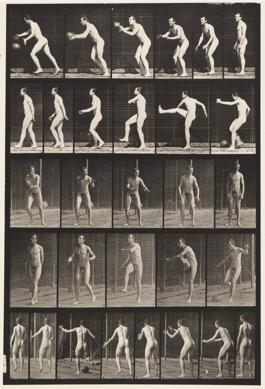 Foot-ball; Drop Kick by Eadweard Muybridge
