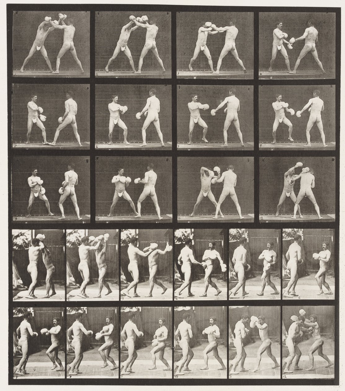 Plate 334. Boxing; With Gloves by Eadweard Muybridge