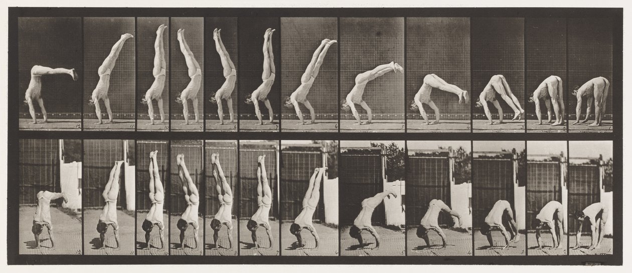Acrobat, Vertical Press Up by Eadweard Muybridge