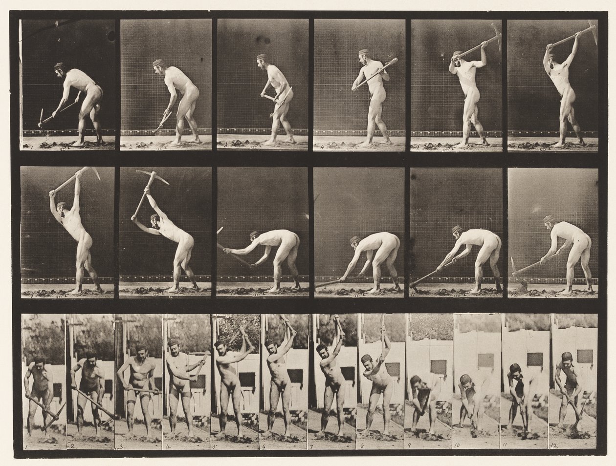 Farmer, Using a Pick by Eadweard Muybridge