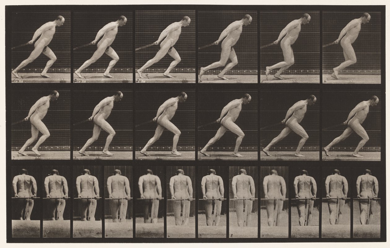 Dragging a Garden Roller by Eadweard Muybridge