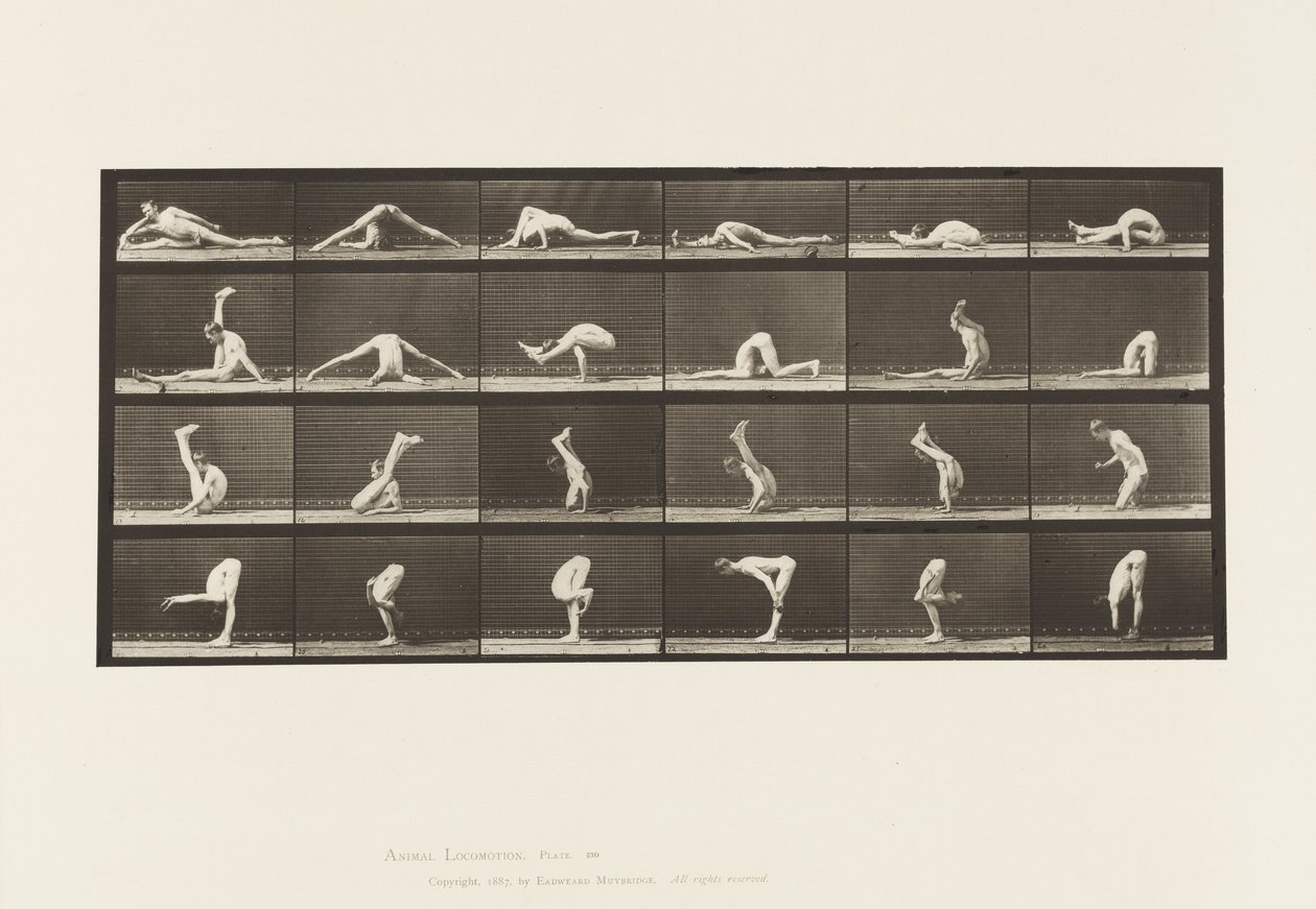 Contortions on the Ground, 1872-1885 by Eadweard Muybridge