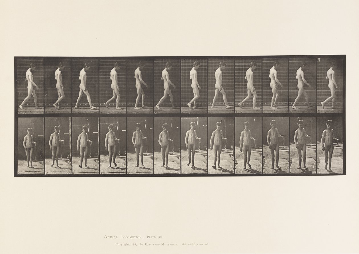 Epilepsy; Walking by Eadweard Muybridge