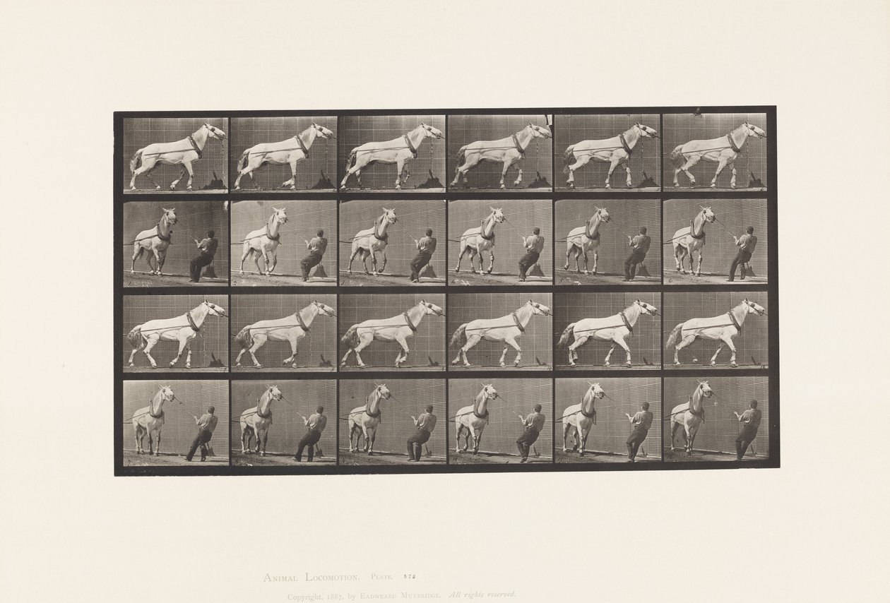 Hauling; Man Pulling at Head; Light-Gray Mare by Eadweard Muybridge
