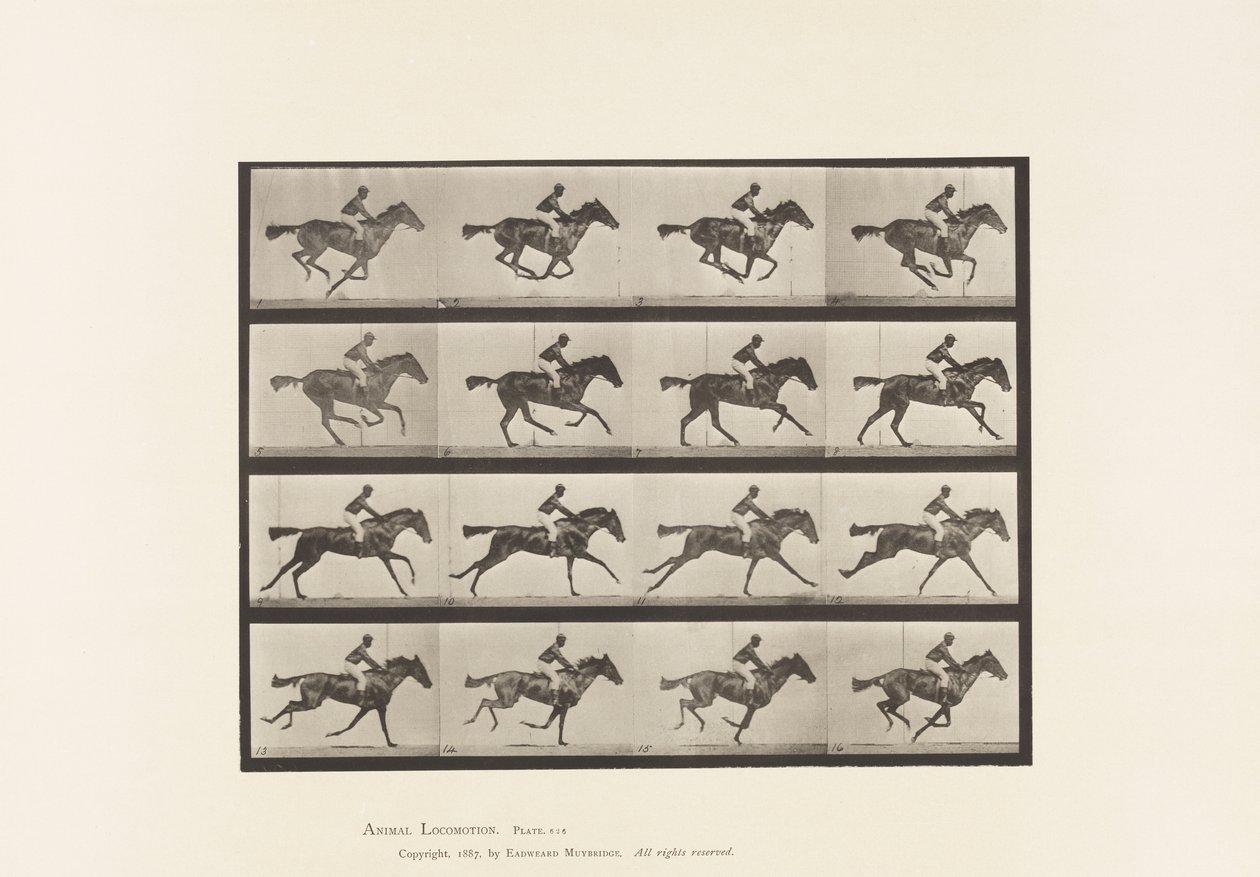 Gallop; Thoroughbred Bay Mare Annie G. (Plate 626) by Eadweard Muybridge
