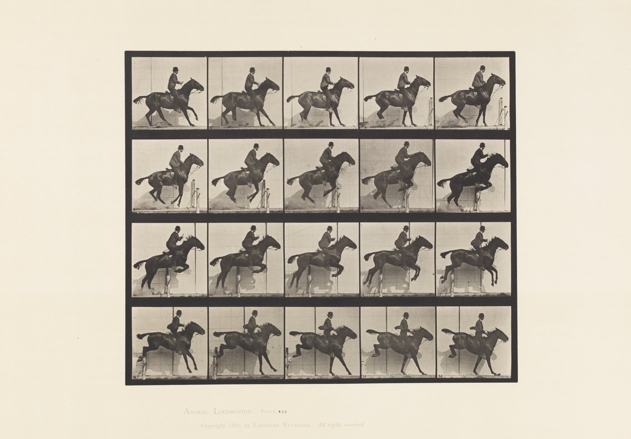 Jumping a Hurdle; Saddle; Bay Horse Daisy (Plate 638) by Eadweard Muybridge