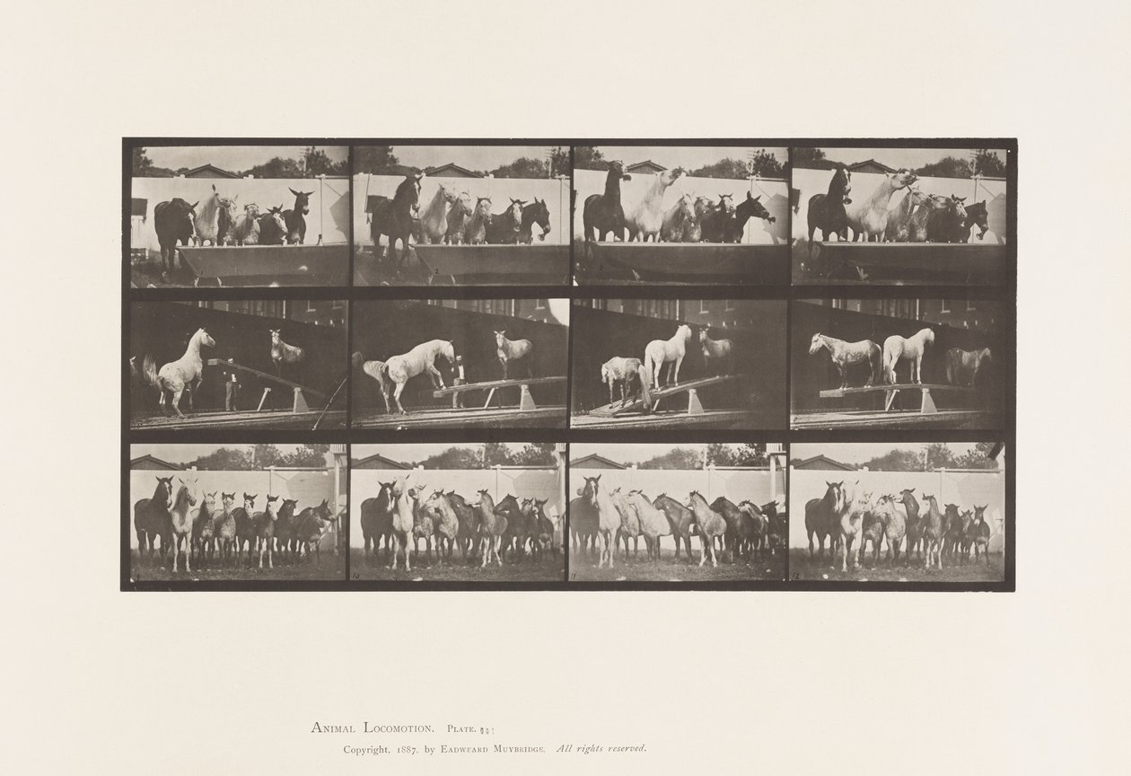 Plate 651. A, Bell ringing; B, Teeter Board; C, Military Drill by Eadweard Muybridge