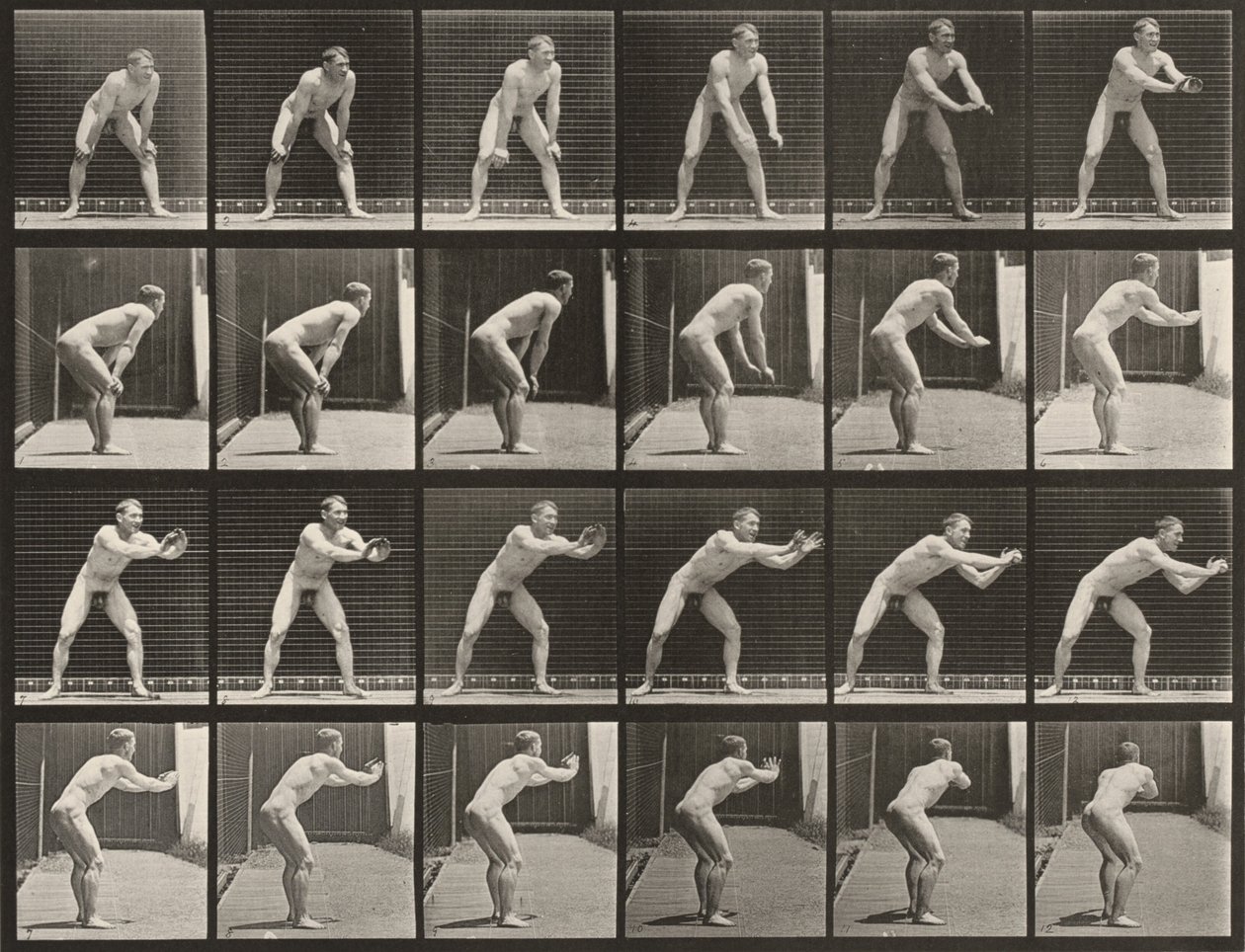 Plate Number 280. Baseball, Catching by Eadweard Muybridge