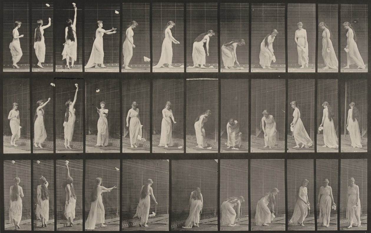 Plate Number 463. Reaching Up, Stooping and Turning Around by Eadweard Muybridge