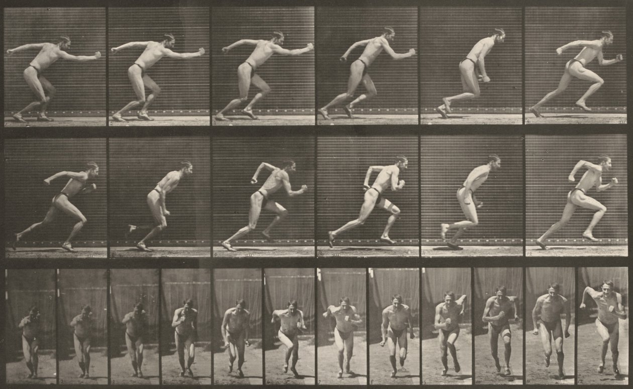 Plate Number 59. Starting for a Run by Eadweard Muybridge