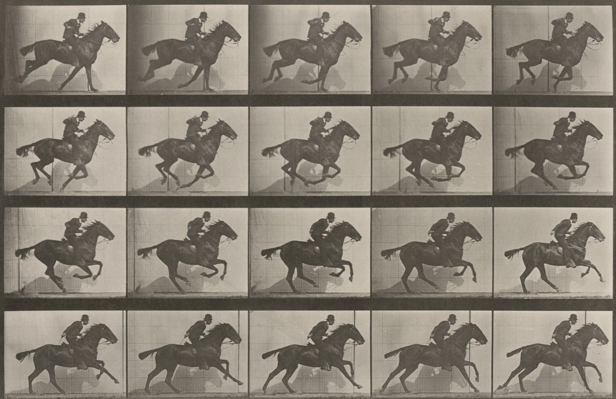 Plate Number 628. "Daisy" Galloping by Eadweard Muybridge