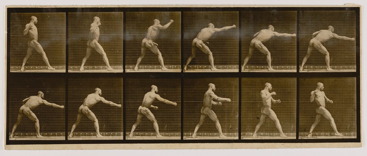 Pugilist Striking a Blow, from the book Animal Locomotion by Eadweard Muybridge