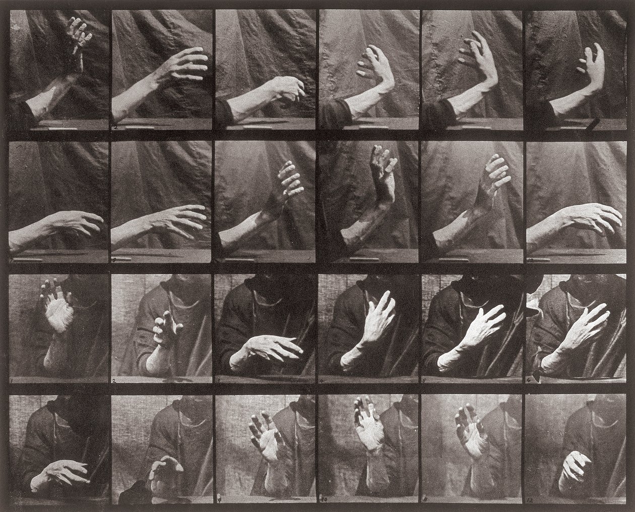 Sequence with Hand Movement, Plate 535 from Animal Locomotion by Eadweard Muybridge