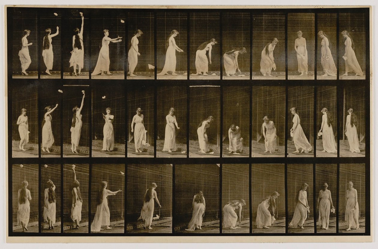 Woman Throwing Handkerchief in Air, Picking It Up, from the Book Animal Locomotion by Eadweard Muybridge