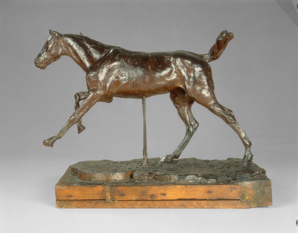 Horse Galloping on the Right Foot by Edgar Degas