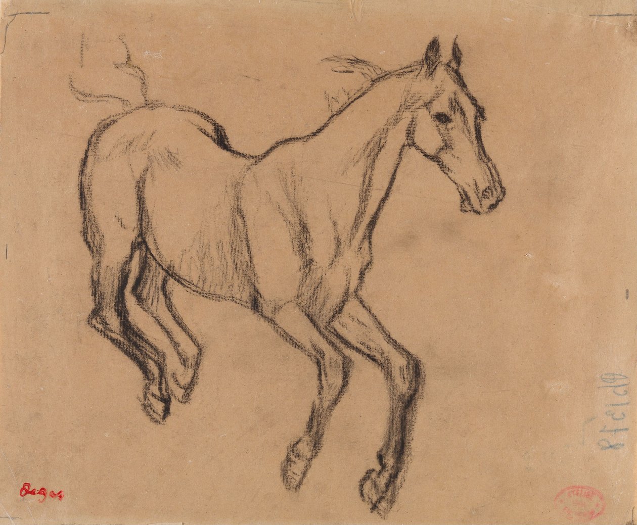 Horse Galloping by Edgar Degas