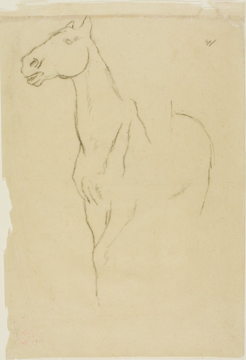 Horse Turned Three-Quarters by Edgar Degas