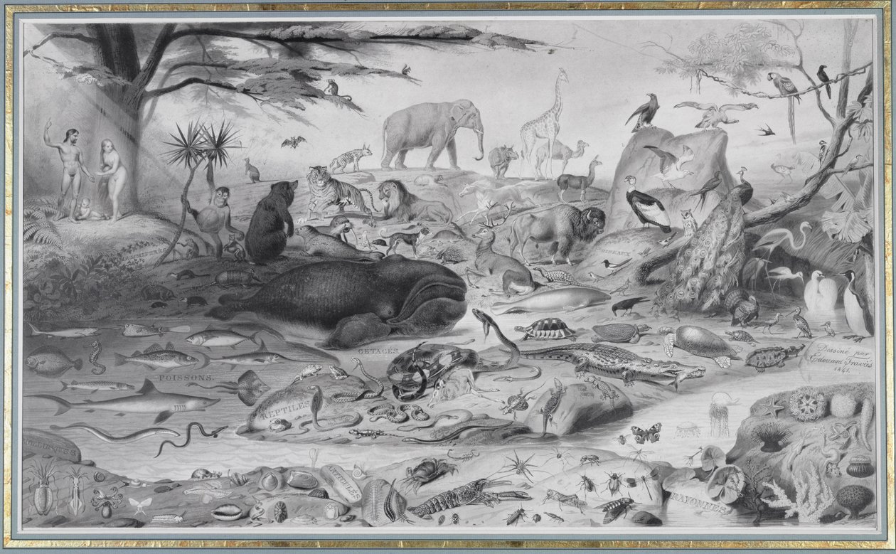 Adam and Eve and the Animals by Edouard Travies