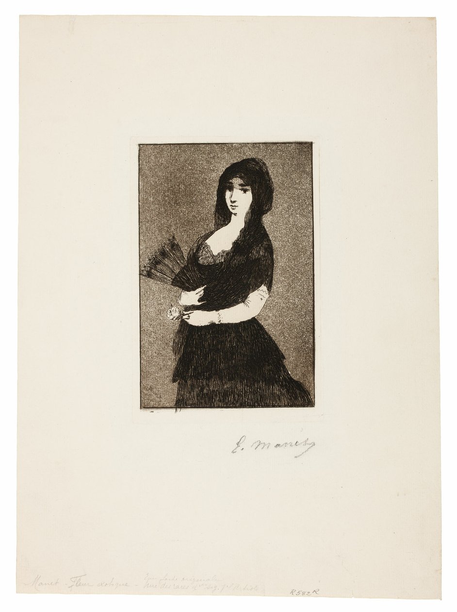 Exotic Flower (Woman in a Mantilla) by Édouard Manet