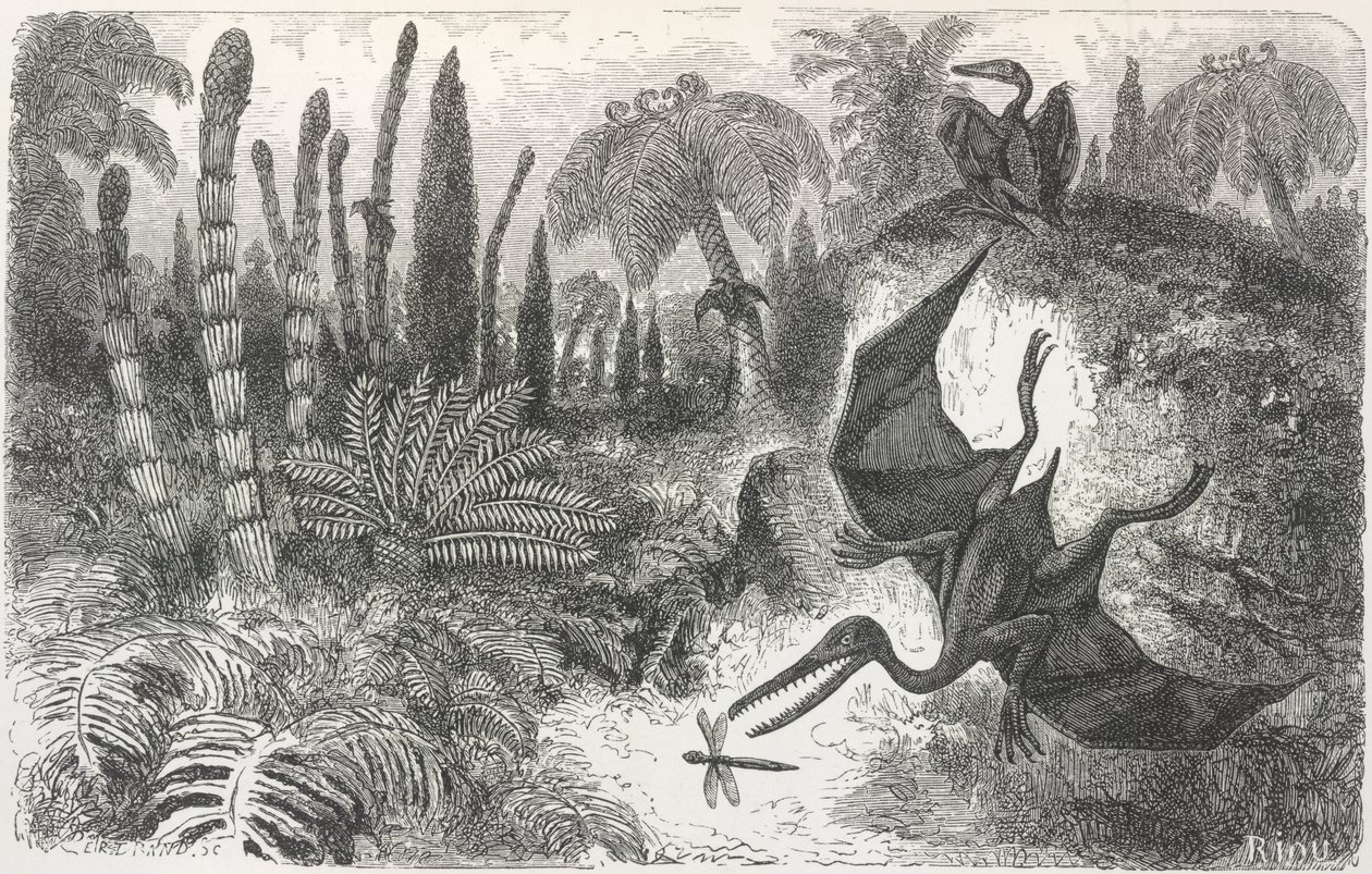 Landscape of the Liasic period (Illustration depicting a Pterodactyl) by Edouard Riou