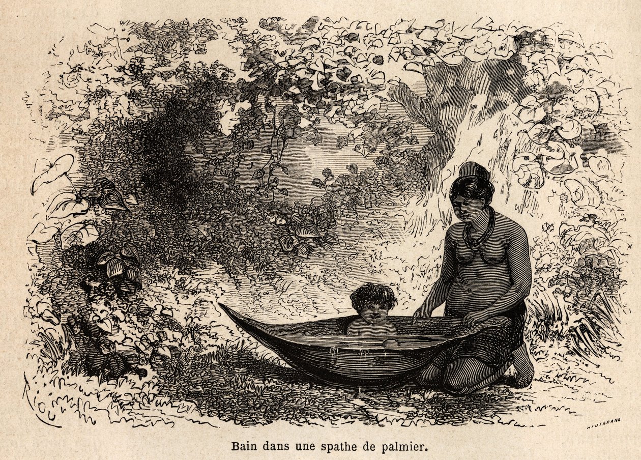The bath of the child in a palm leaf by Edouard Riou